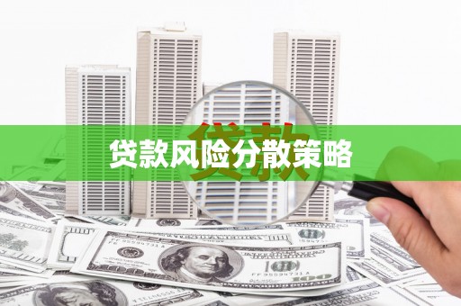 休宁贷款风险分散策略