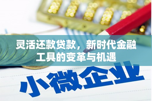 休宁灵活还款贷款，新时代金融工具的变革与机遇