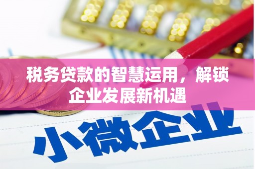 休宁税务贷款的智慧运用，解锁企业发展新机遇