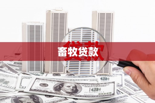 休宁畜牧贷款