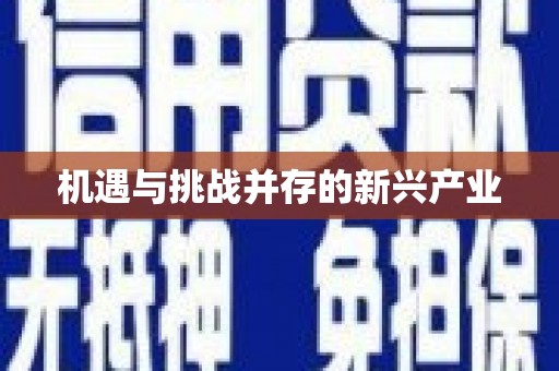 休宁机遇与挑战并存的新兴产业