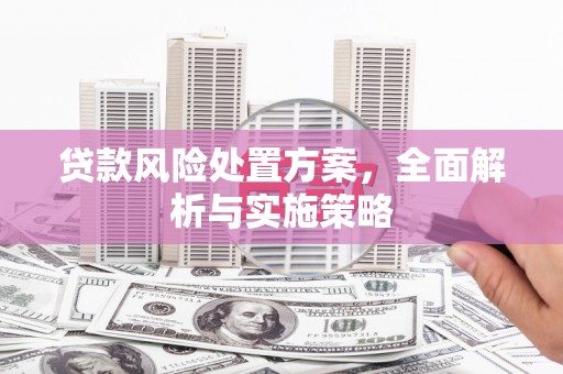 休宁贷款风险处置方案，全面解析与实施策略
