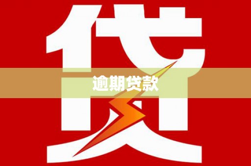 休宁逾期贷款